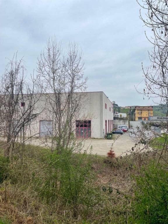 Magazzino via Statale 28, Vicoforte - foto 3