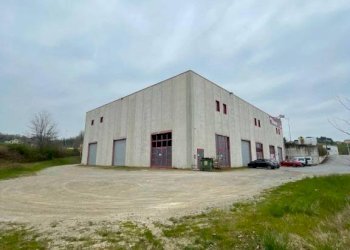 Magazzino via Statale 28, Vicoforte - foto 10