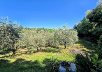 Foto 9 - Rustico Via Uliveta, Montopoli in Val d'Arno - foto 9