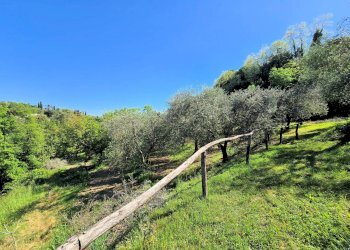 Foto 10 - Rustico Via Uliveta, Montopoli in Val d'Arno - foto 10