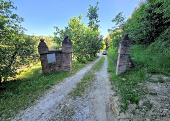 Foto 15 - Rustico Via Uliveta, Montopoli in Val d'Arno - foto 15