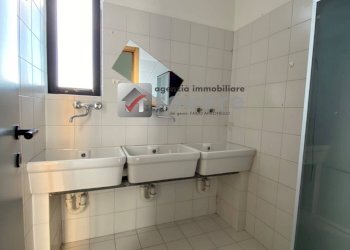 Foto 12 - Shed Carbonera - photo 12