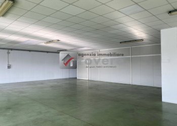 Foto 15 - Shed Carbonera - photo 15