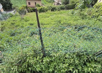 Foto 8 - Semi-detached house Via Dell'Agricoltura
 
11, Fermo - photo 8