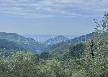 Foto 2 - Terreno edificabile Strada Santa giusta, Perinaldo - foto 2