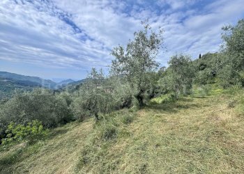 Foto 4 - Terreno edificabile Strada Santa giusta, Perinaldo - foto 4