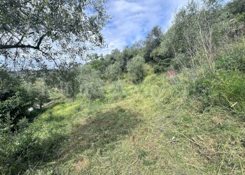 Foto 5 - Terreno edificabile Strada Santa giusta, Perinaldo - foto 5