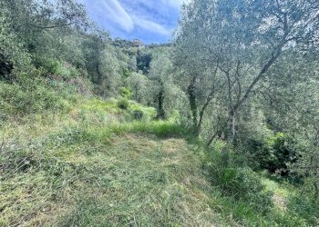 Foto 8 - Terreno edificabile Strada Santa giusta, Perinaldo - foto 8