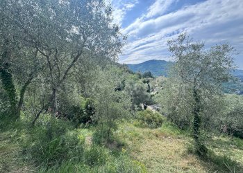 Foto 9 - Terreno edificabile Strada Santa giusta, Perinaldo - foto 9