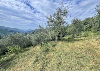 Foto 10 - Terreno edificabile Strada Santa giusta, Perinaldo - foto 10