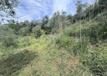 Foto 11 - Terreno edificabile Strada Santa giusta, Perinaldo - foto 11