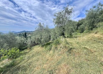 Foto 13 - Terreno edificabile Strada Santa giusta, Perinaldo - foto 13
