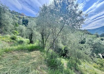 Foto 14 - Terreno edificabile Strada Santa giusta, Perinaldo - foto 14
