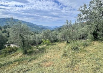 Foto 16 - Terreno edificabile Strada Santa giusta, Perinaldo - foto 16
