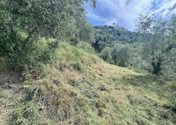 Foto 17 - Terreno edificabile Strada Santa giusta, Perinaldo - foto 17