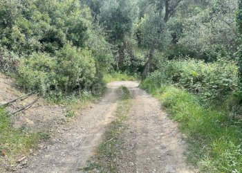 Foto 18 - Terreno edificabile Strada Santa giusta, Perinaldo - foto 18