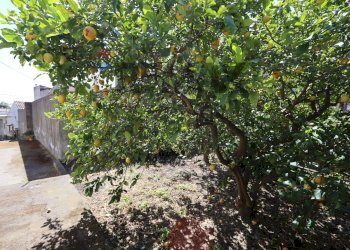 Giardino - Independent house Via Piedimonte
 
117, Mascali - photo 23