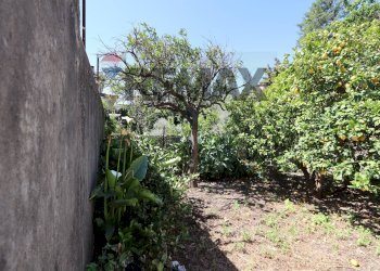 Giardino - Independent house Via Piedimonte
 
117, Mascali - photo 24