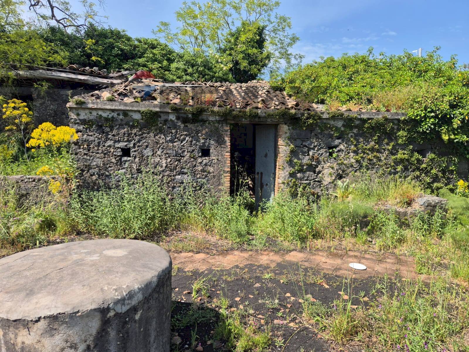 Giardino - Terreno agricolo Contrada Cisternazza
 
snc, Zafferana Etnea - foto 1