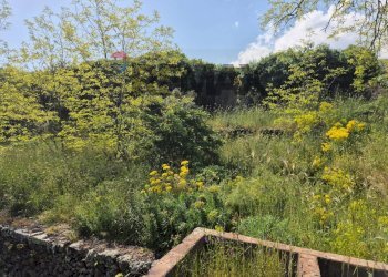 Giardino - Terreno agricolo Contrada Cisternazza
 
snc, Zafferana Etnea - foto 2