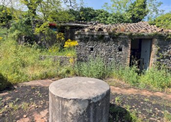 Giardino - Terreno agricolo Contrada Cisternazza
 
snc, Zafferana Etnea - foto 4