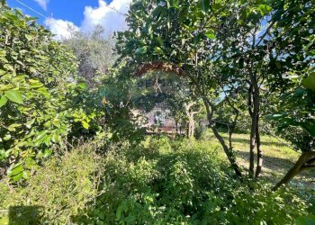 Giardino - Building land Via Villa Petrosa
 
snc, Acireale - photo 22