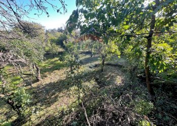 Giardino - Building land Via Villa Petrosa
 
snc, Acireale - photo 26