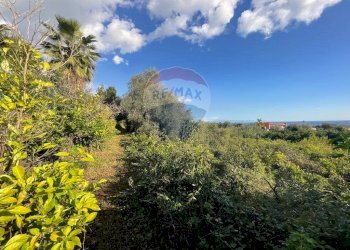 Giardino - Building land Via Villa Petrosa
 
snc, Acireale - photo 31