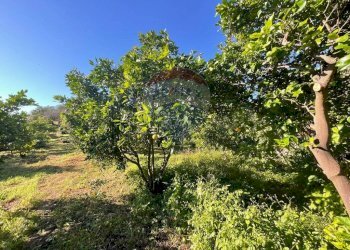 Giardino - Building land Via Villa Petrosa
 
snc, Acireale - photo 38