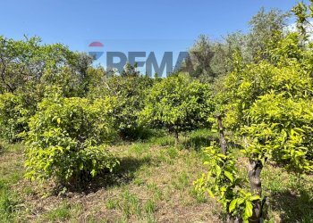 Giardino - Building land Via Villa Petrosa
 
snc, Acireale - photo 41