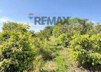 Giardino - Building land Via Villa Petrosa
 
snc, Acireale - photo 42