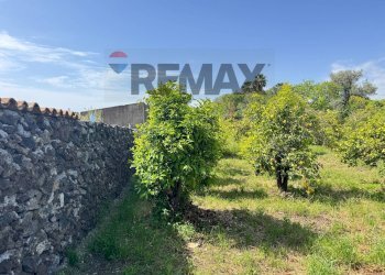 Giardino - Building land Via Villa Petrosa
 
snc, Acireale - photo 43