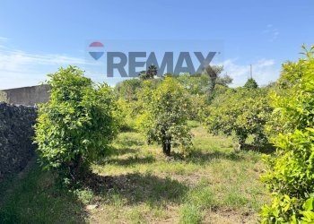 Giardino - Building land Via Villa Petrosa
 
snc, Acireale - photo 44
