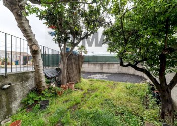 Giardino - Casa semi indipendente Via Carrubbazza
 
60, San Gregorio di Catania - foto 14