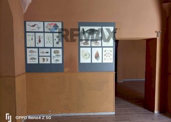 Dettagli - Commercial Premises RIVIERA VITTORIO MALLOZZI, Anzio - photo 31