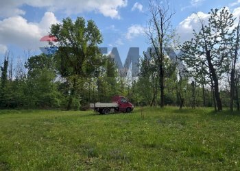 Giardino - Terreno agricolo Via Fornace, Carnate - foto 4