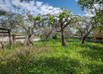 Giardino - Villa sp34, Noto - foto 27