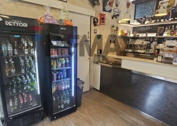 Fronte - Bar Tavola Calda - Fredda Viale dei Rettori
 
41, Benevento - foto 4