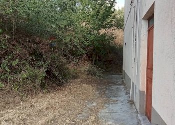 Giardino - Casa indipendente C/da CAPITORTO
 
snc, Casalduni - foto 10