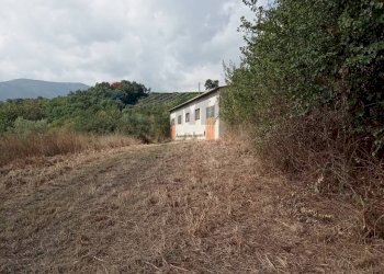 Casa all\'aperto - Casa indipendente C/da CAPITORTO
 
snc, Casalduni - foto 36