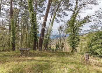 Foto 49 - Rustic Arezzo - photo 49