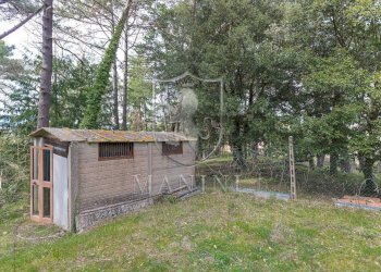 Foto 58 - Rustic Arezzo - photo 58