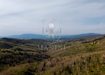 Foto 60 - Rustic Arezzo - photo 60