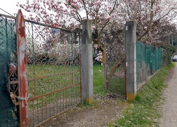 Giardino - Building land Via Amendola
Snc, Magnago - photo 8