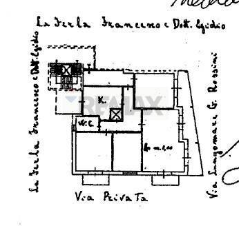 Pianta 2D - Apartment Augusta - floor plans 1