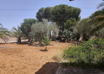 Giardino - Villa Acate - photo 11