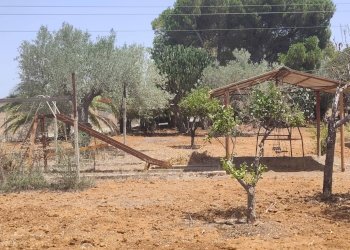 Giardino - Villa Acate - photo 24