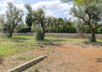 Giardino - Baita Via Sant'Eleuterio
 
snc, Collepasso - foto 4