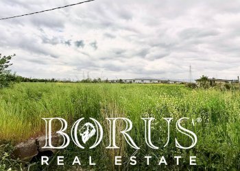 Foto 2 - Terreno agricolo 3653+F76 San Tammaro, San Tammaro - foto 2