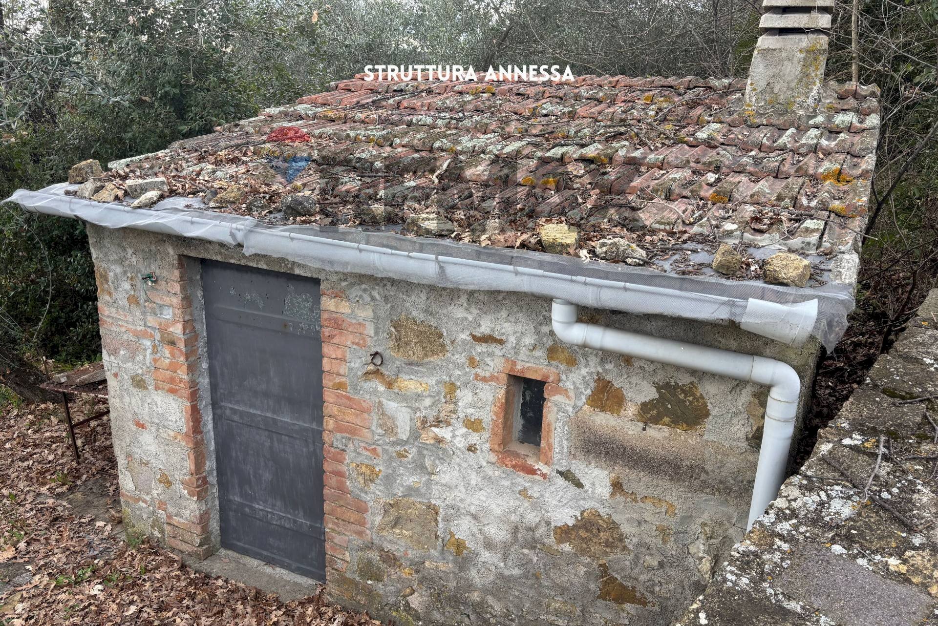 ANNESSO - Terreno agricolo STRADA PERETI
SNC, Roccastrada - foto 3